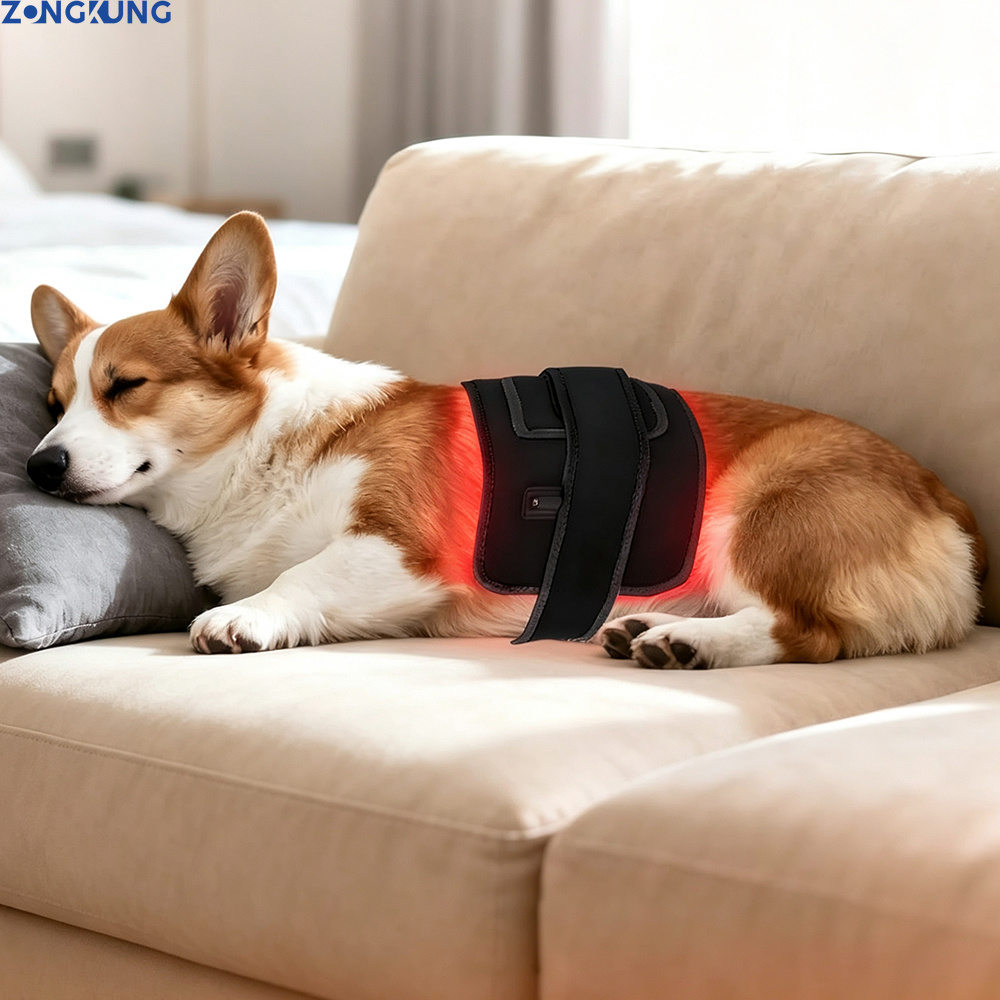 Galvanic Skin Sensor - Terapi Cahaya Merah untuk Hewan Peliharaan,